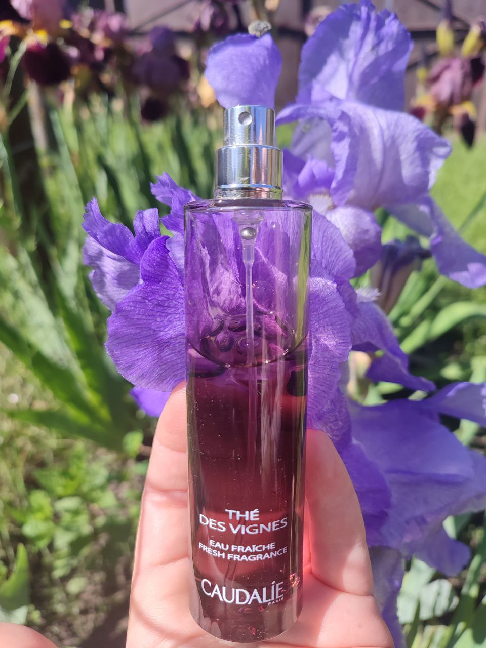 Освіжаюча туалетна вода Thé des Vignes| CAUDALIE®